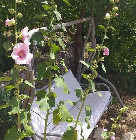 公寓 西耶斯塔公寓