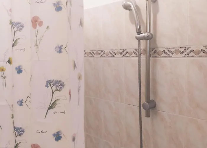 Siesta * שיבניק