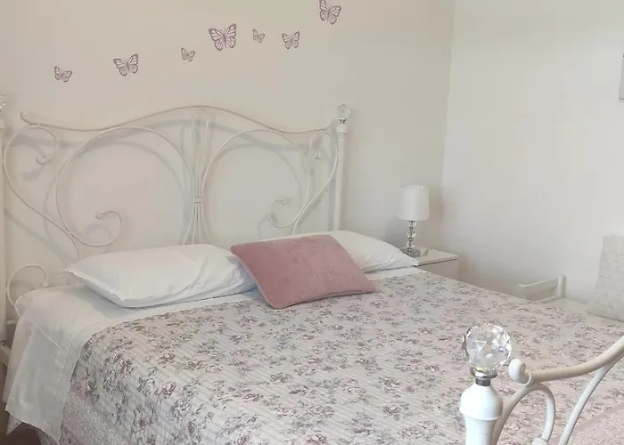 Siesta Шибеник